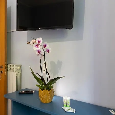 Otel Dali Scafati